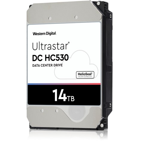 Western Digital Ultrastar DC HC530 - 0F31284