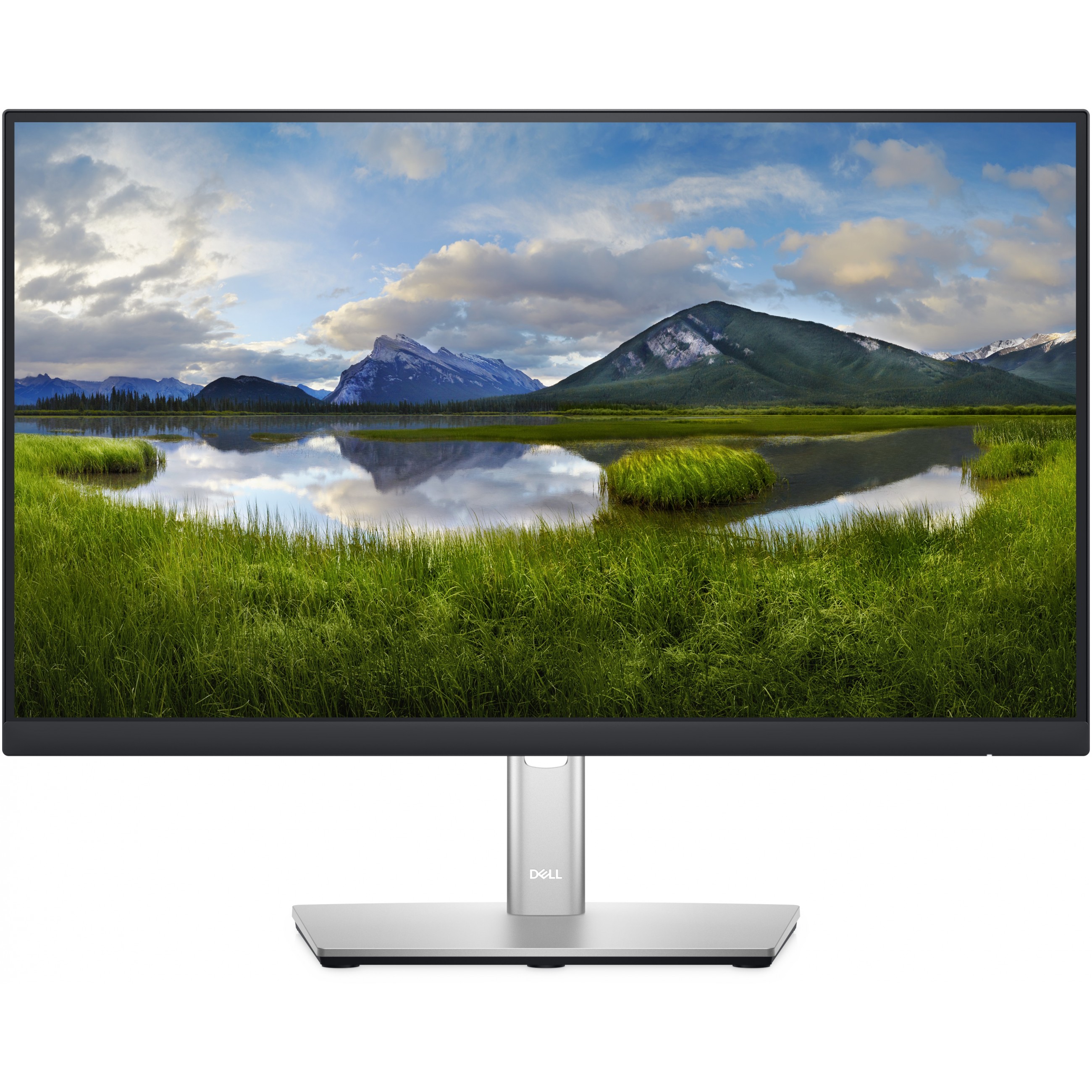 DELL P Series P2222H LED display - DELL-P2222H