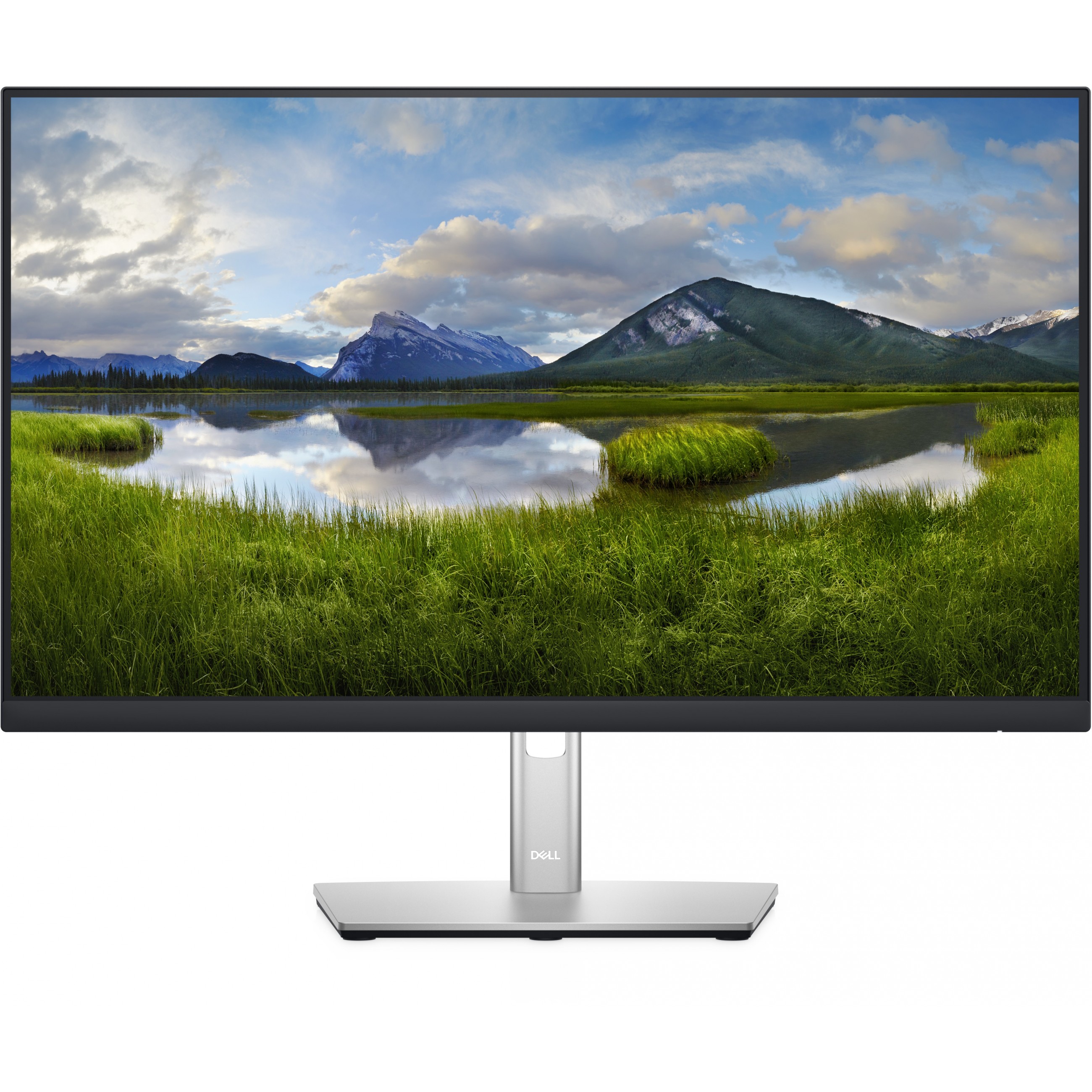 DELL P Series P2422H LED display - DELL-P2422H