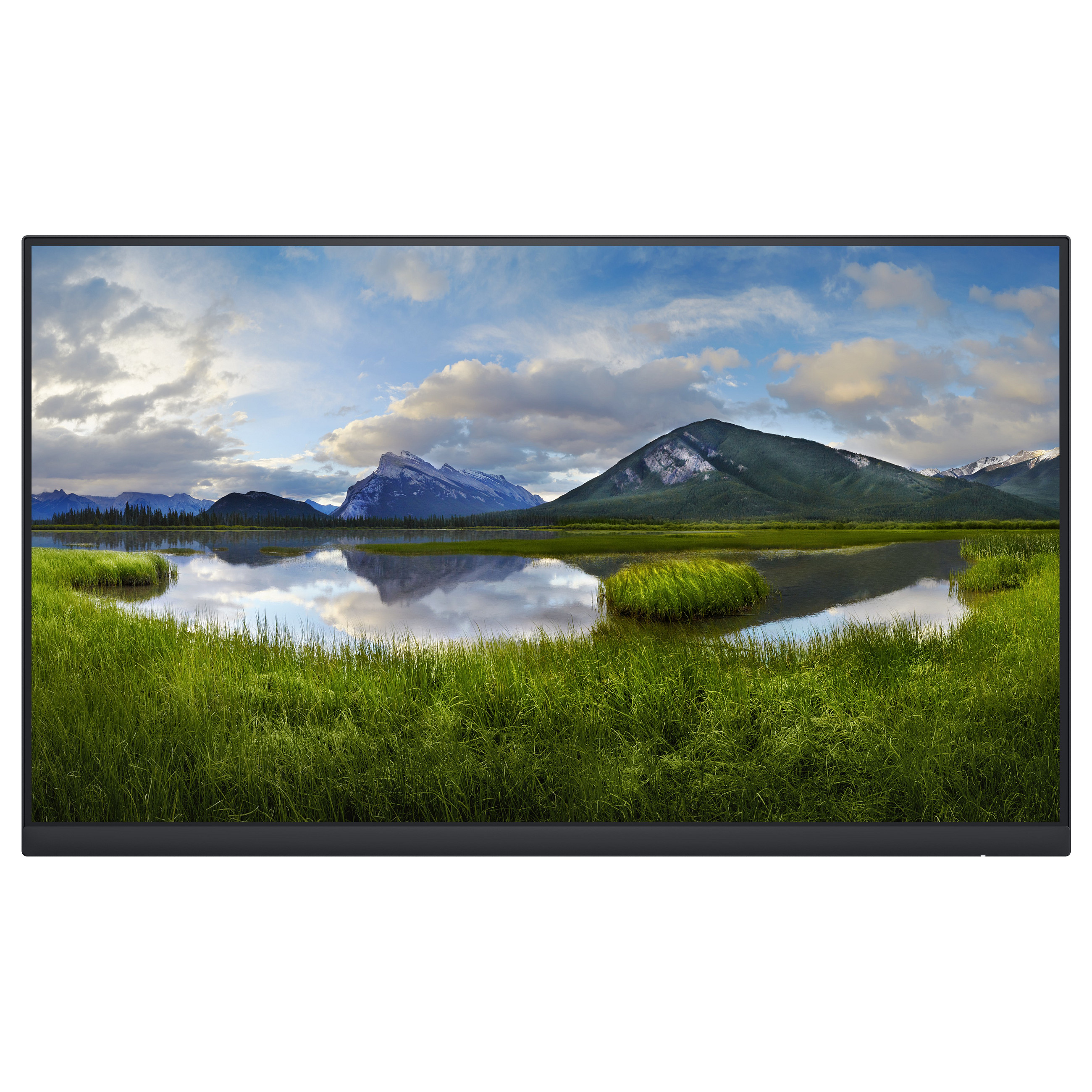 DELL P Series P2422H_WOST computer monitor