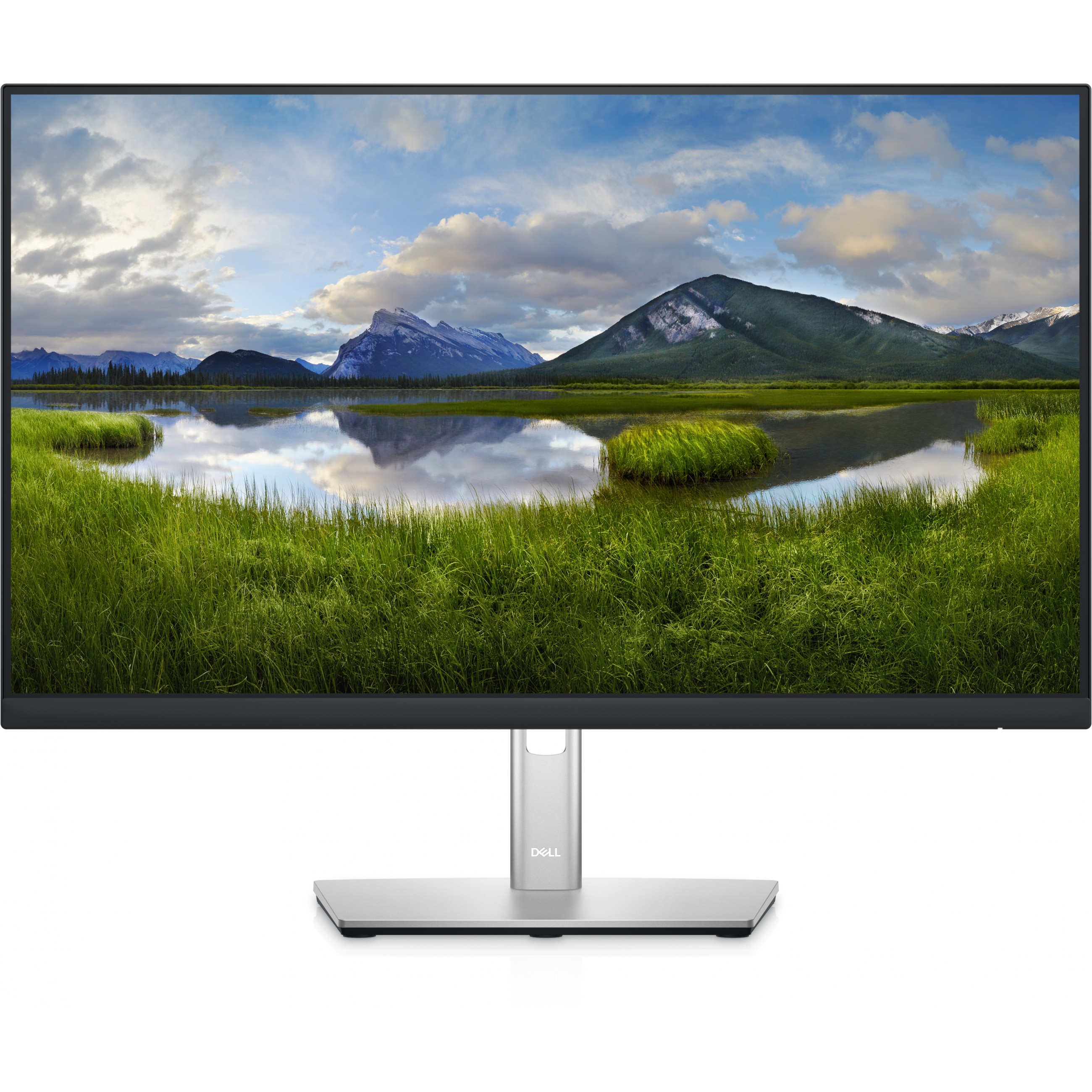 DELL P Series P2422HE LED display - DELL-P2422HE