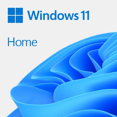 Microsoft Windows 11 Home - KW9-00638