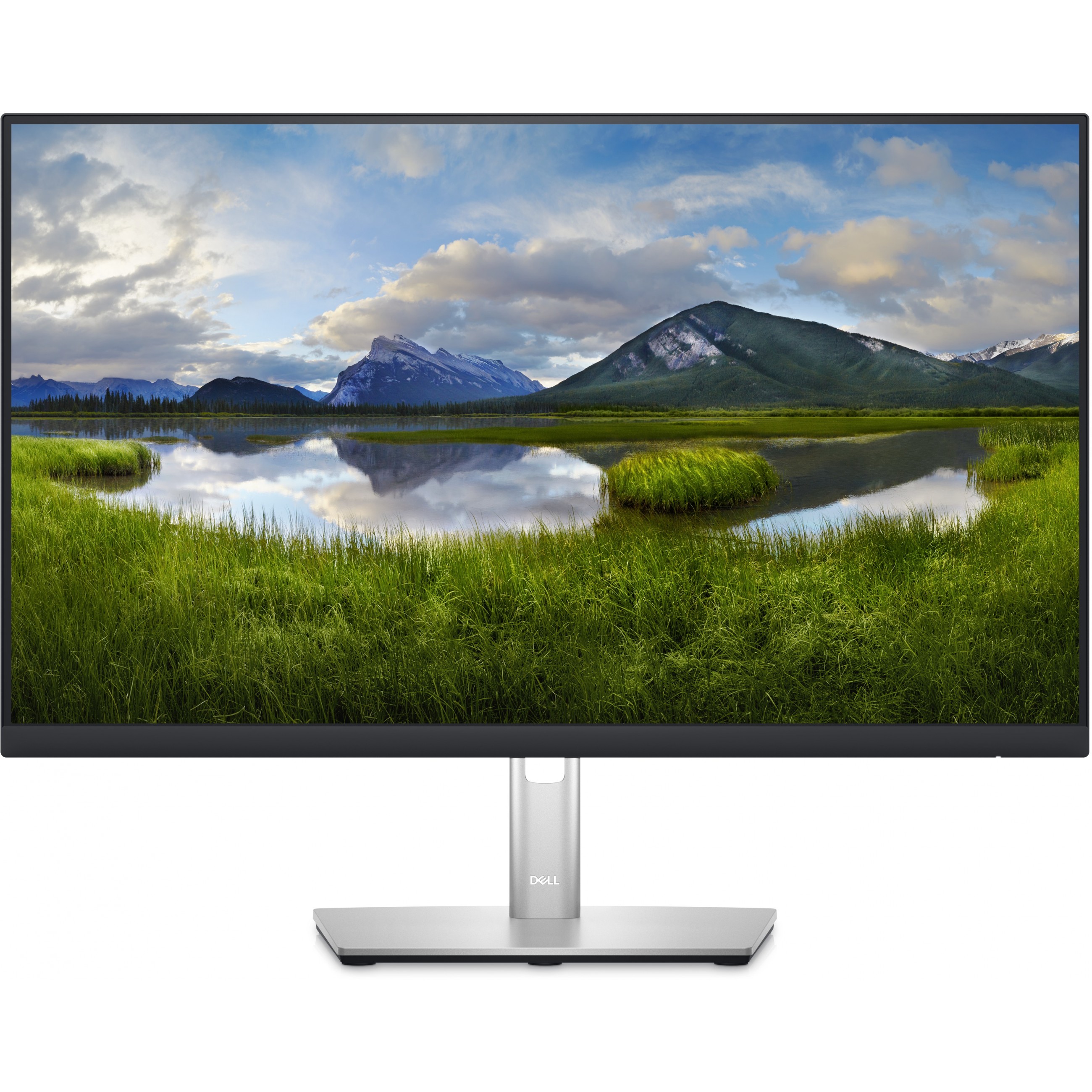 DELL P Series P2423D LED display