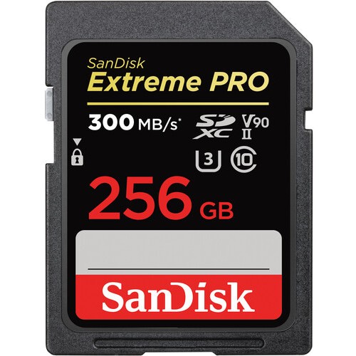Sandisk SDSDXDK-256G-GN4IN, SD-Karten, SanDisk Extreme  (BILD1)