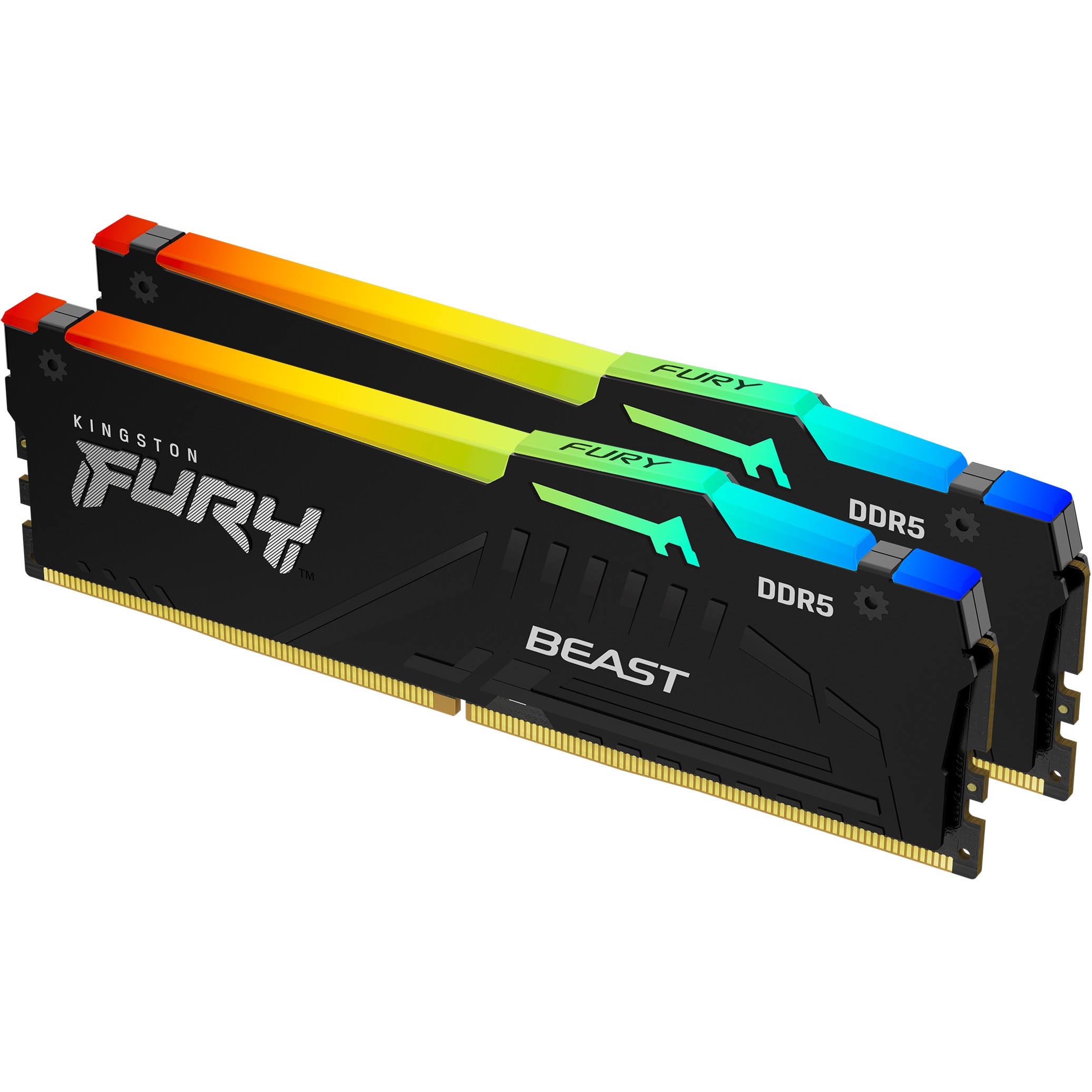 Kingston Technology FURY Beast RGB memory module