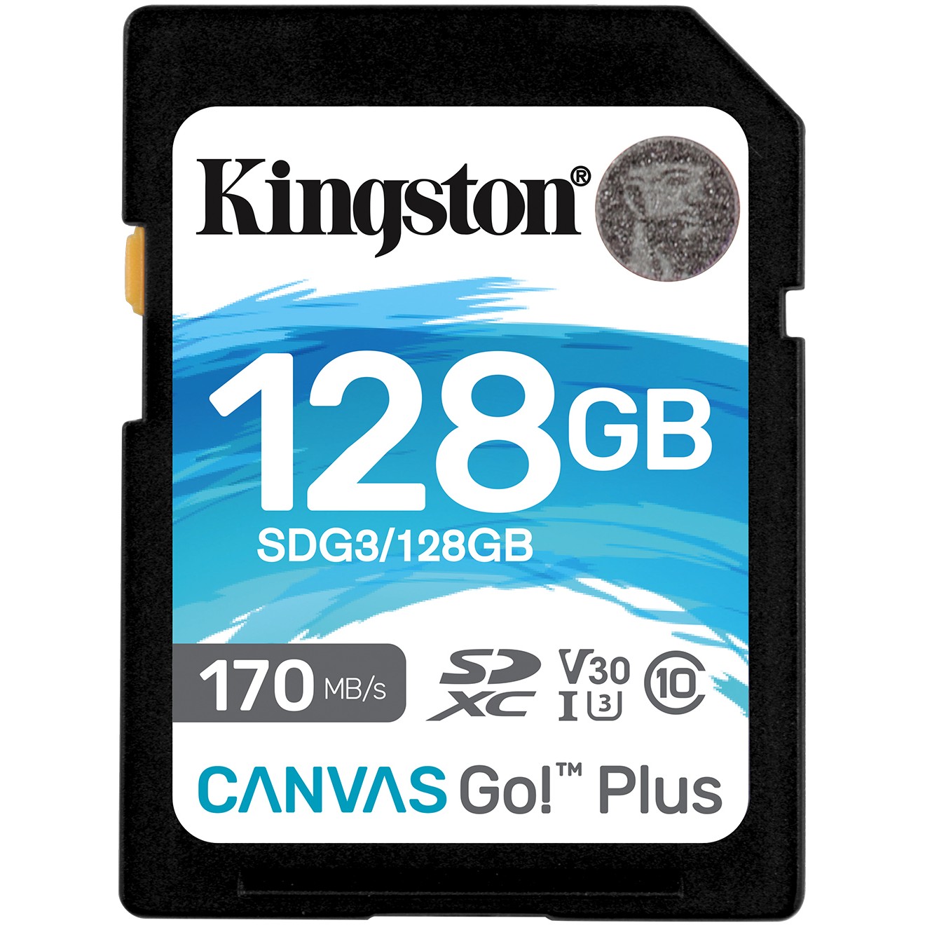 Kingston Technology Canvas Go! Plus - SDG3/128GB