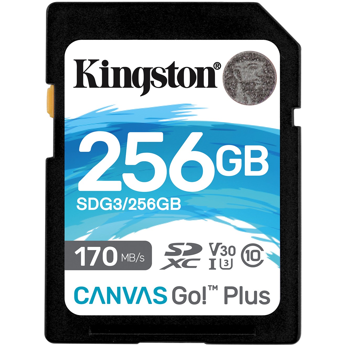 Kingston Technology Canvas Go! Plus - SDG3/256GB