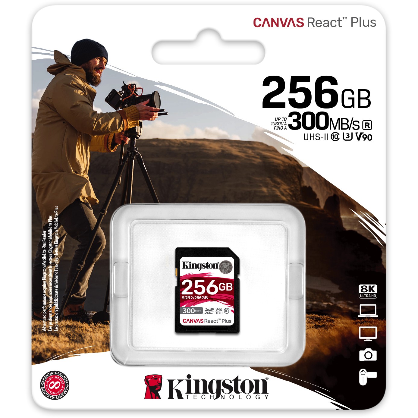 Kingston SDR2/256GB, SD-Karten, Kingston Technology Plus  (BILD3)