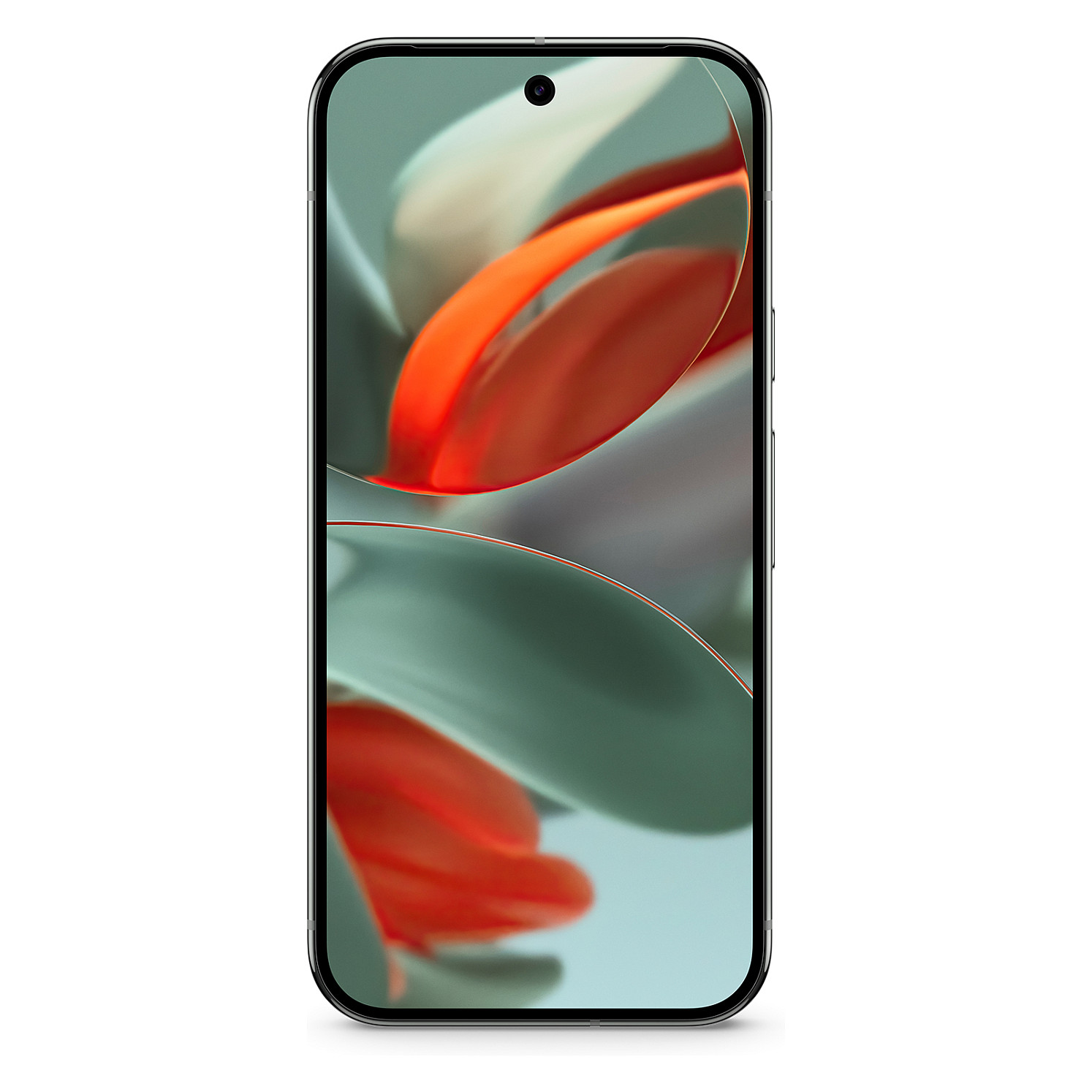 Google Pixel 9 Pro XL