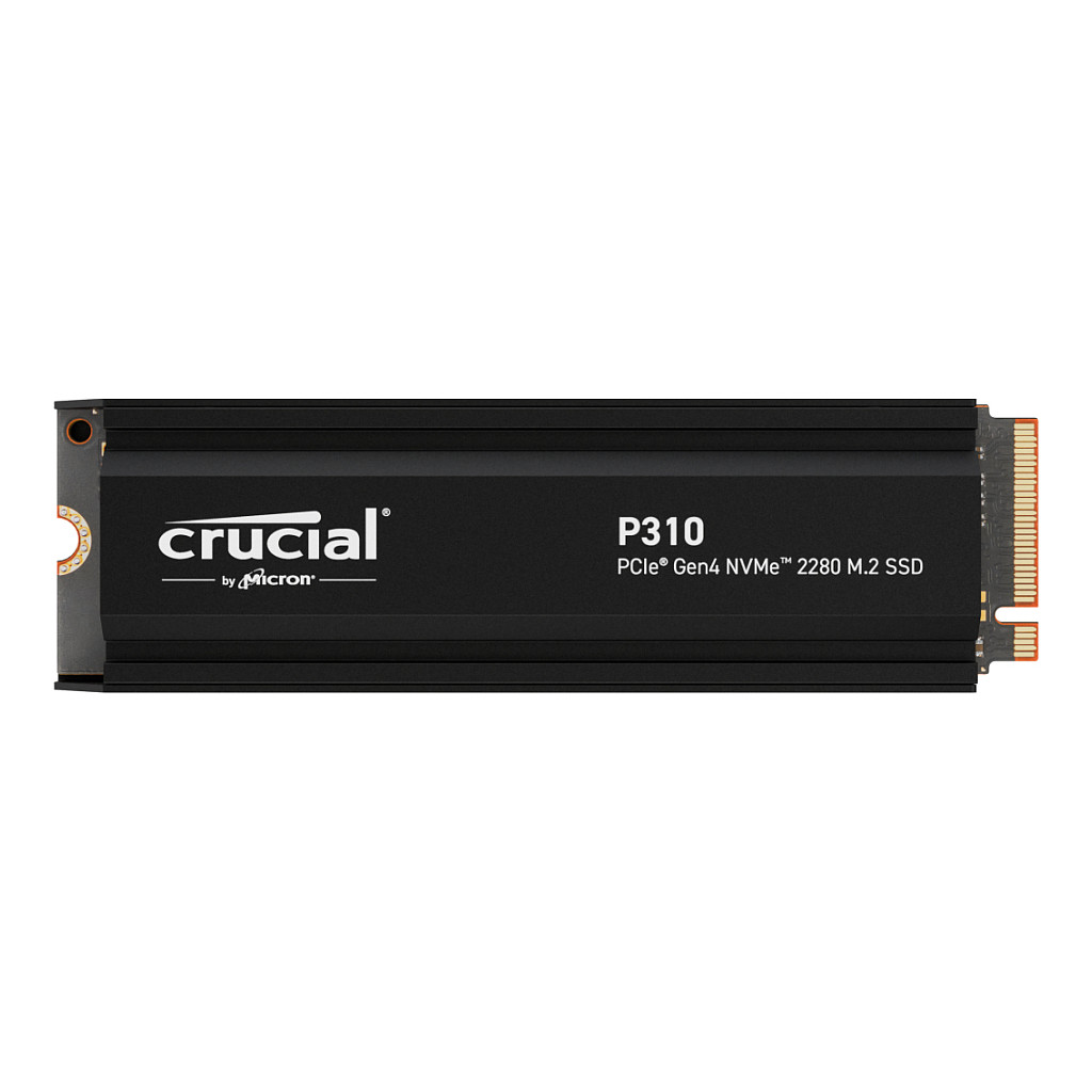 Crucial P310