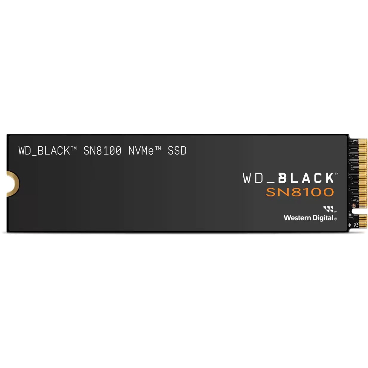 Western Digital Black SN8100