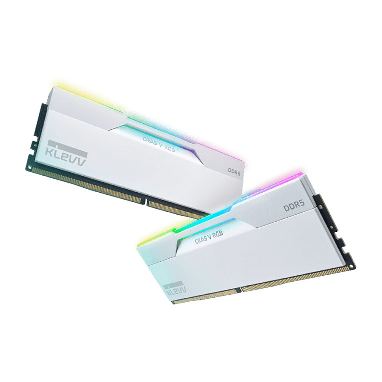 Klevv KD5AGUA80-60A300J memory module