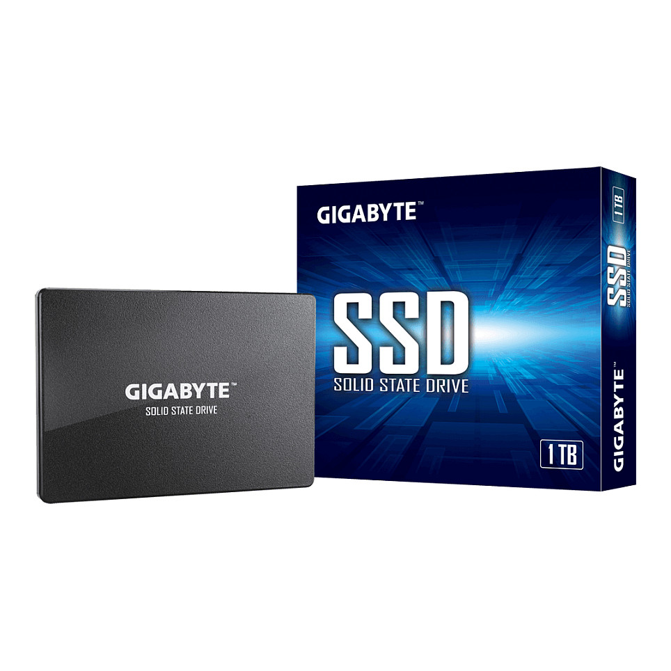 GIGABYTE GP-GSTFS31100TNTD internal solid state drive