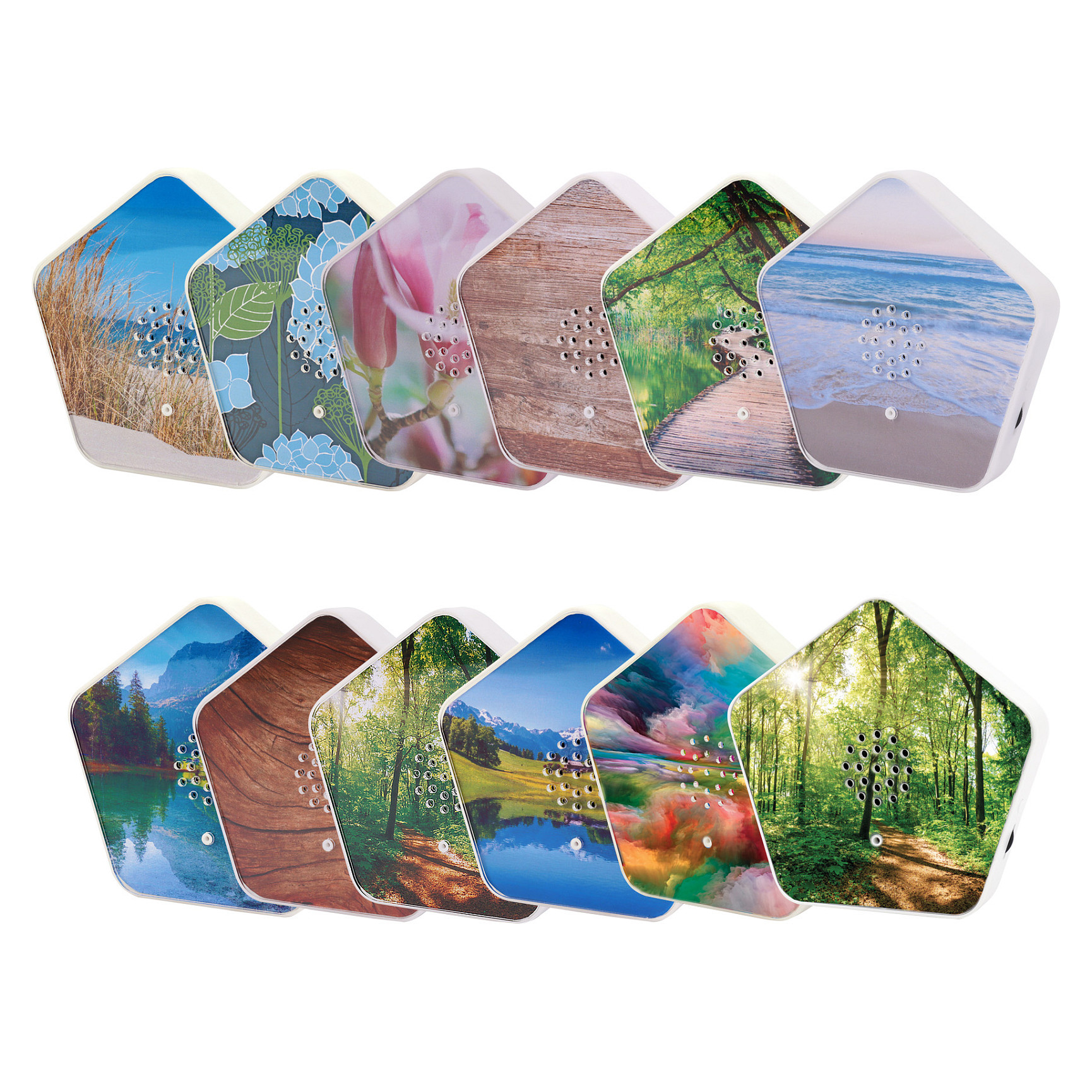 Olympia Sounds of Nature