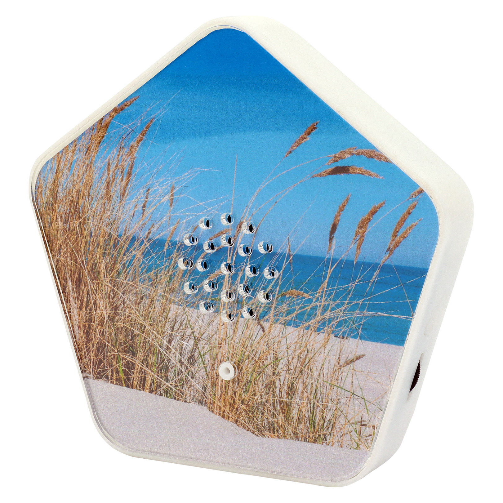 Olympia Sounds of Nature