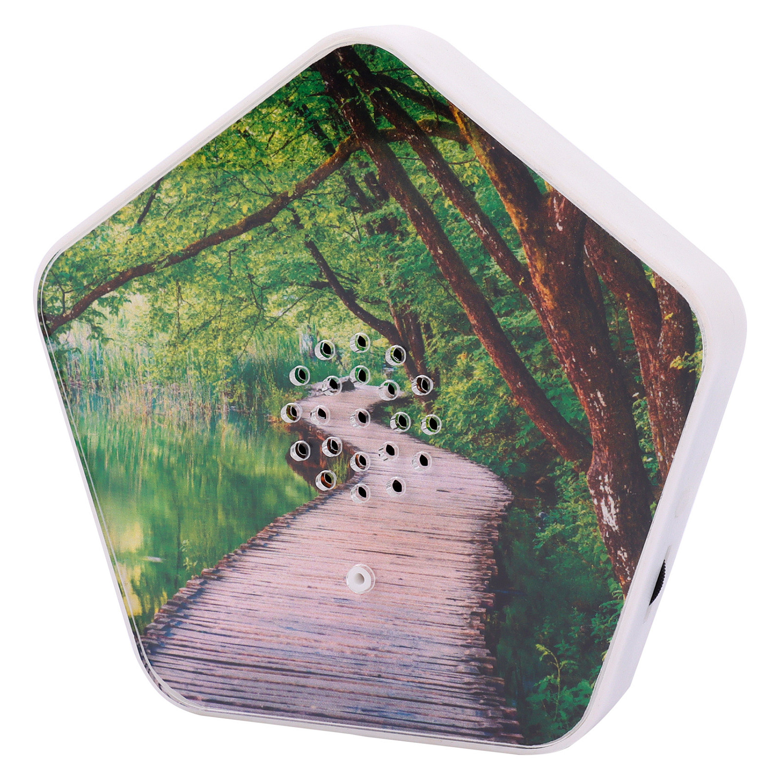 Olympia Sounds of Nature