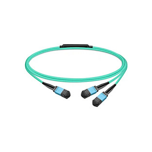 Nvidia MFP7E20-N007 InfiniBand/fibre optic cable Netzwerk
