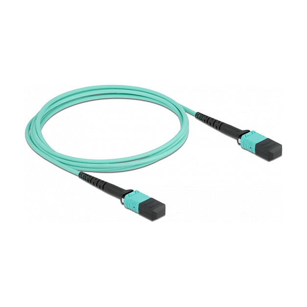 DeLOCK 86957 InfiniBand/fibre optic cable Netzwerk