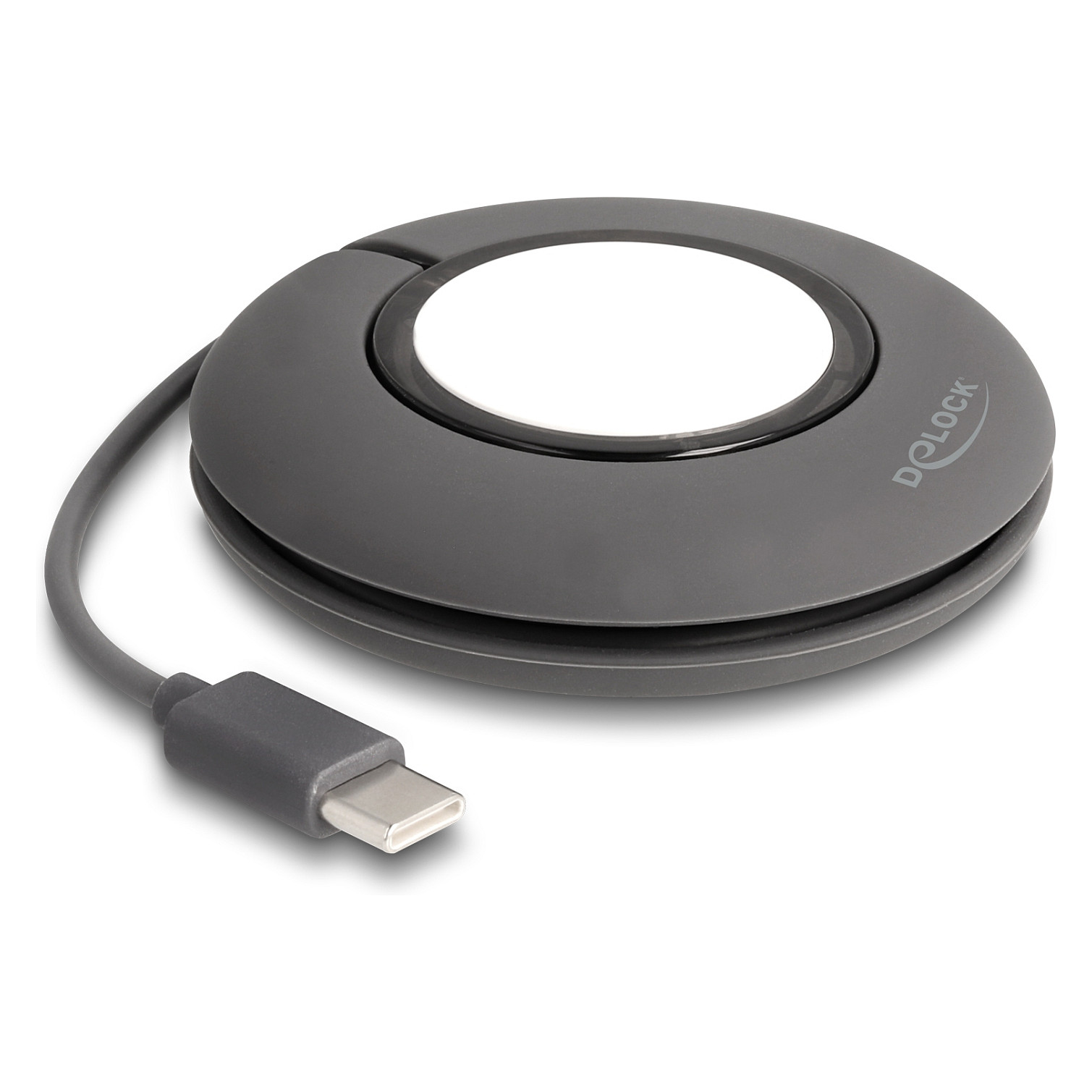 DeLOCK 83019 smart wearable accessory USB