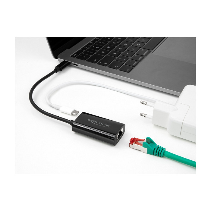 DeLOCK 61026 cable gender changer