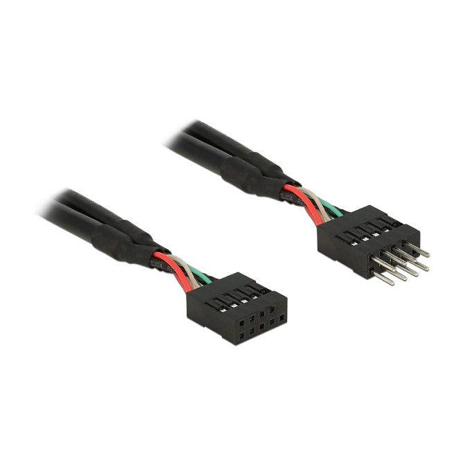 DeLOCK 0.1m 2xUSB2.0 10p