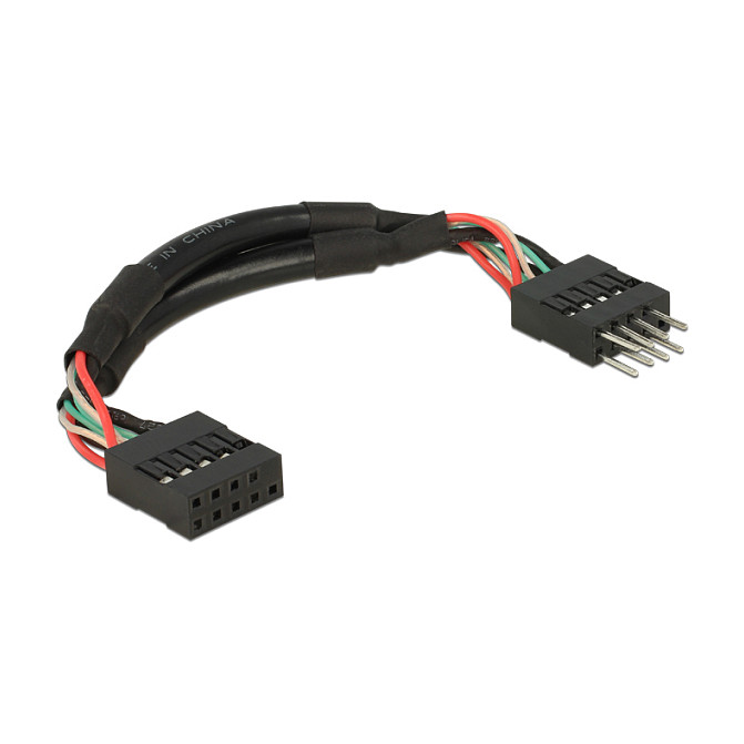 DeLOCK 0.1m 2xUSB2.0 10p