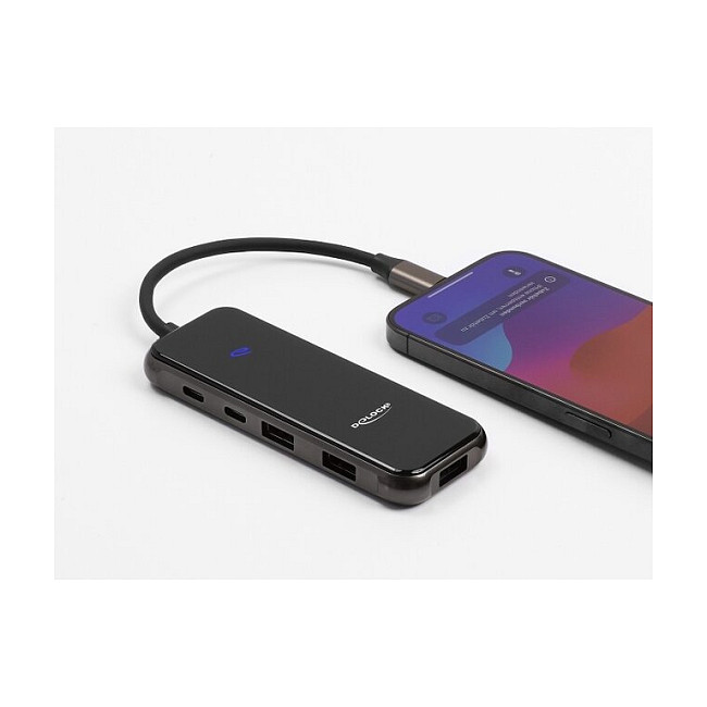 DeLOCK 92001 laptop dock/port replicator