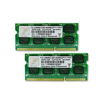 G.Skill 4GB DDR3-1600 SQ memory module