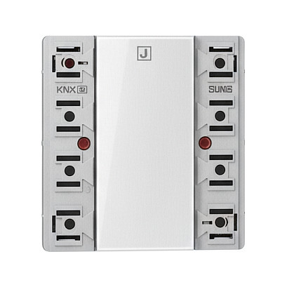 Jung LS 52921 ST KNX Tastsensor-Modul Universal, 2fach, F50, Serie LS