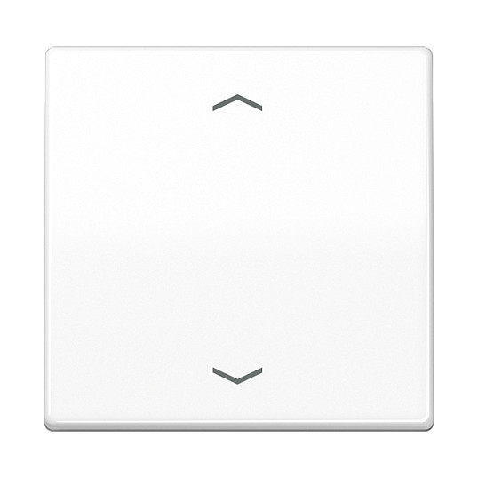 Jung AS101PWW Wippe f.Tasterpfeile