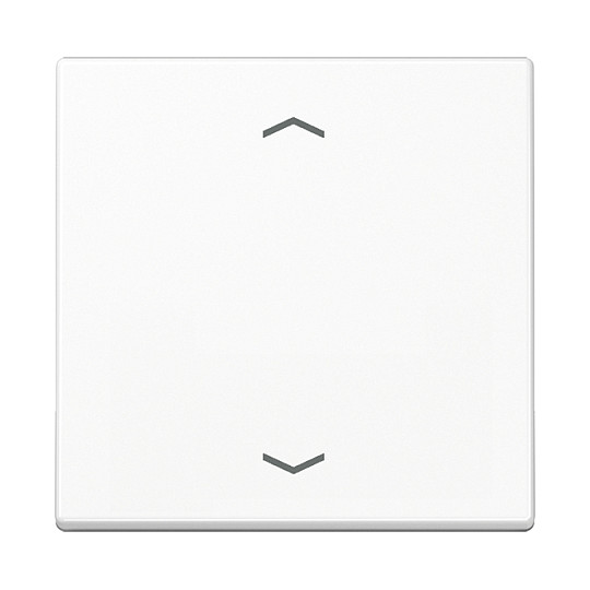 Jung A101PBFWW Wippe f.Tasterpfeile Elektroinstallation