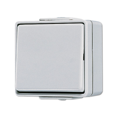 Jung 606 W AP/WD-Wippwechselschalter