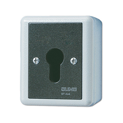 Jung 833.18 G AP/WD-Schlüsseltaster 1p Schriftfeld