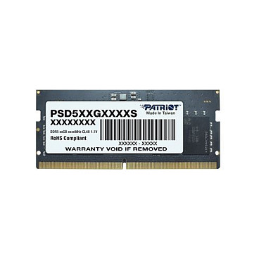 Patriot Memory Signature Line PSD58G560041S memory module