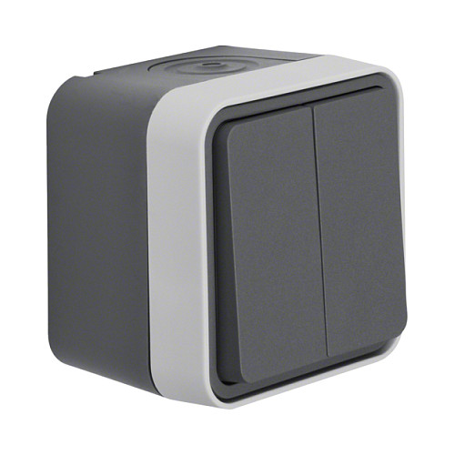 Berker 30753505 light switch