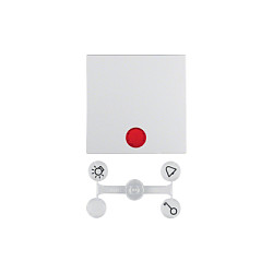 Berker 1621 19 09 Wippe Kontroll- PWS S.1/B.1/B.7 mit Linsen