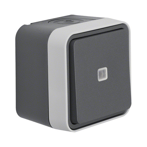 Berker 30763525 light switch Beleuchtung