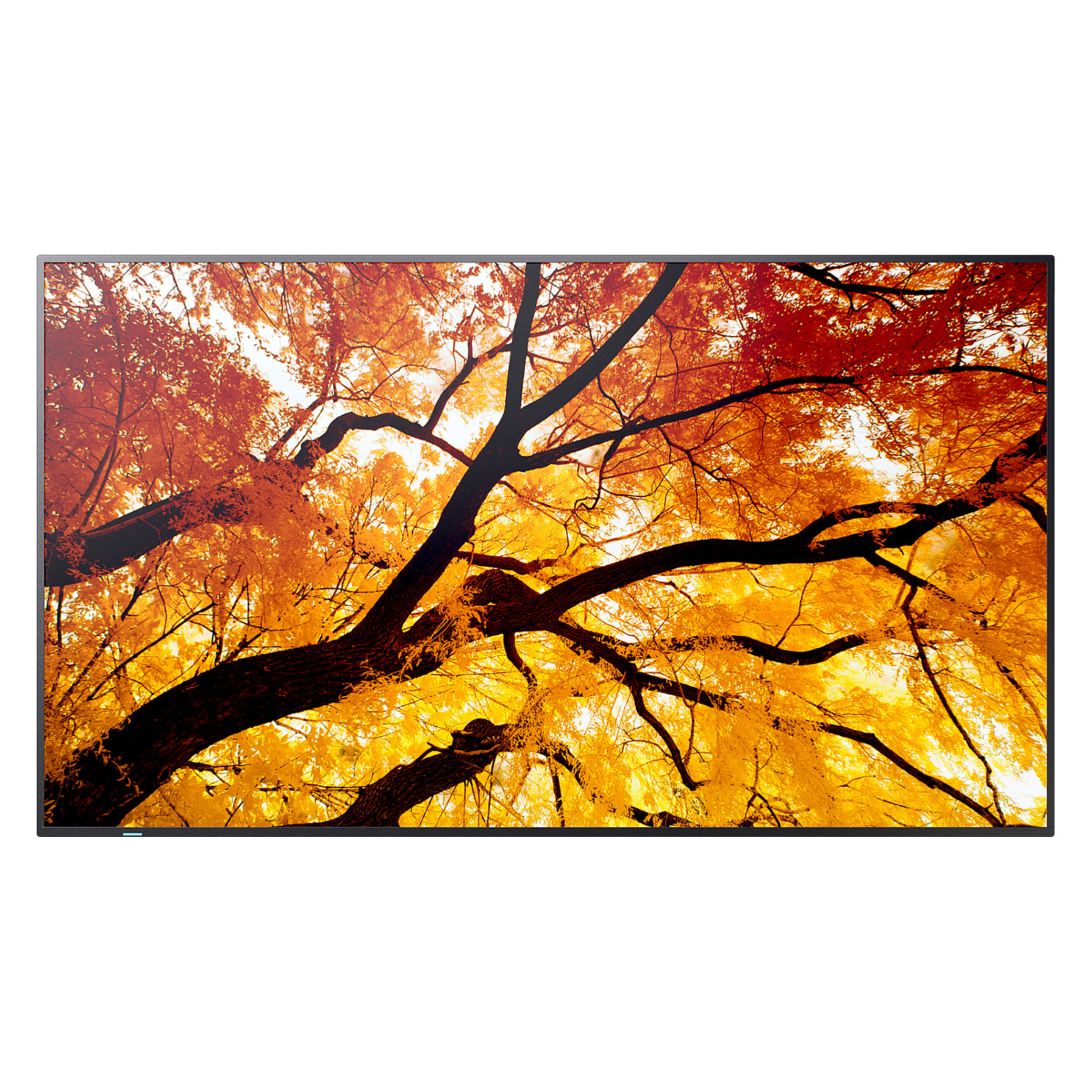 Sharp M862 Digital Signage Display 217,2 cm 86 Zoll