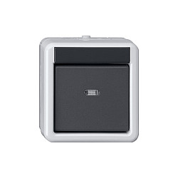 Gira 515230 Taster BA 1fach 2 Punkt WG AP Grau