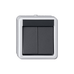GIRA 516130 Taster BA 2fach 1 Punkt WG AP Grau