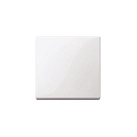 MERTEN 434119 Wippe für Schalter, Taster pws SYSTEM M Elektroinstallation