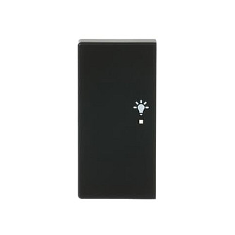 BUSCH JAEGER 6231-21-885 Wippe/L 2f Licht schwarz matt Busch-free@home future linear Elektroinstallation