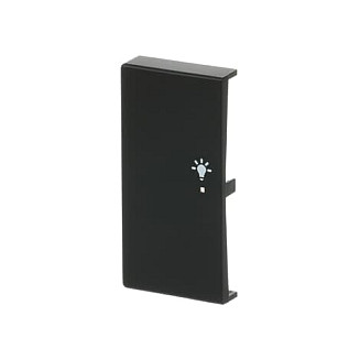 BUSCH JAEGER 6231-21-885 Wippe/L 2f Licht schwarz matt Busch-free@home future linear