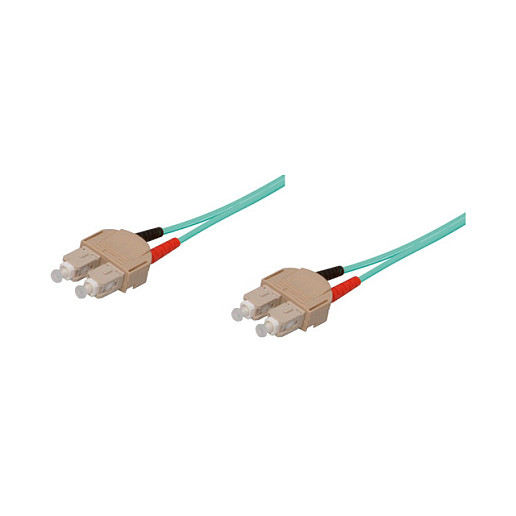 Alcasa 2m SC/SC InfiniBand/fibre optic cable Netzwerk
