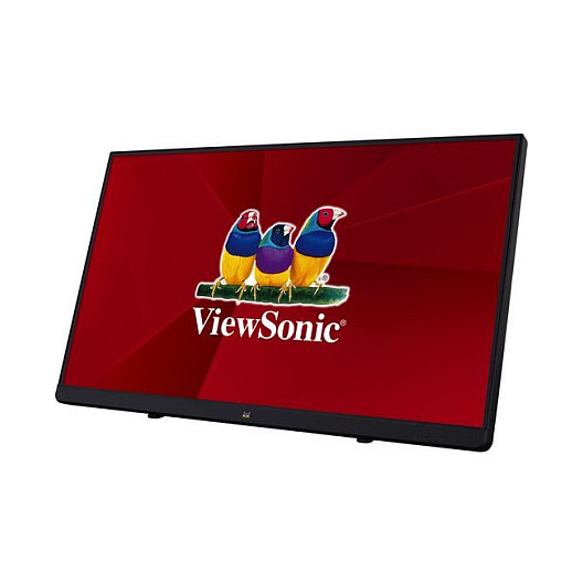 Viewsonic TD2230 computer monitor