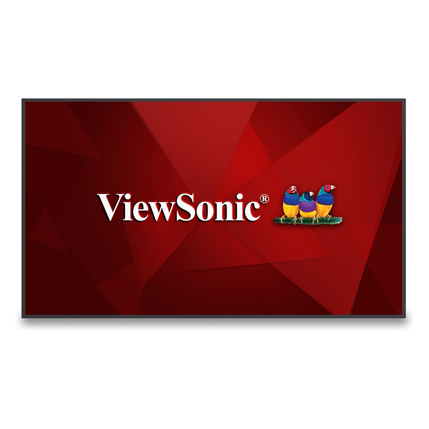 Viewsonic 165.1cm CDE6530 16:9 HDMI/LAN/USB-C 500nits