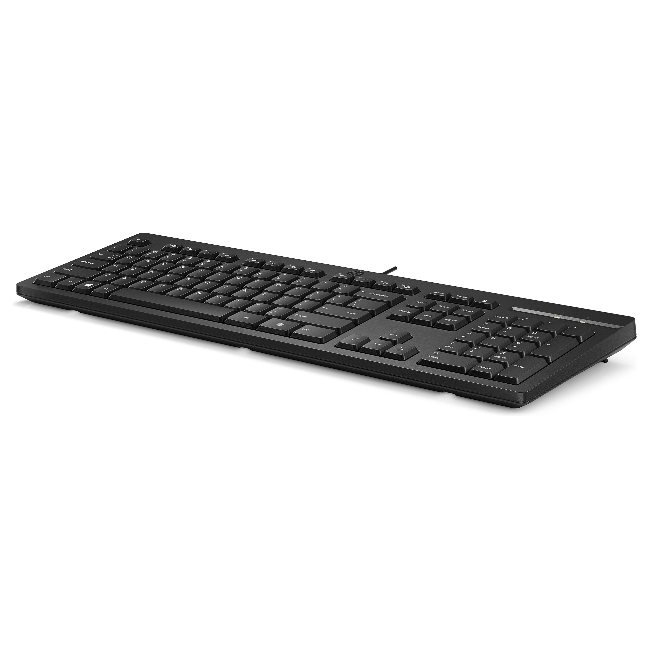 HP 125 USB KEYBOARD HOLLAEND