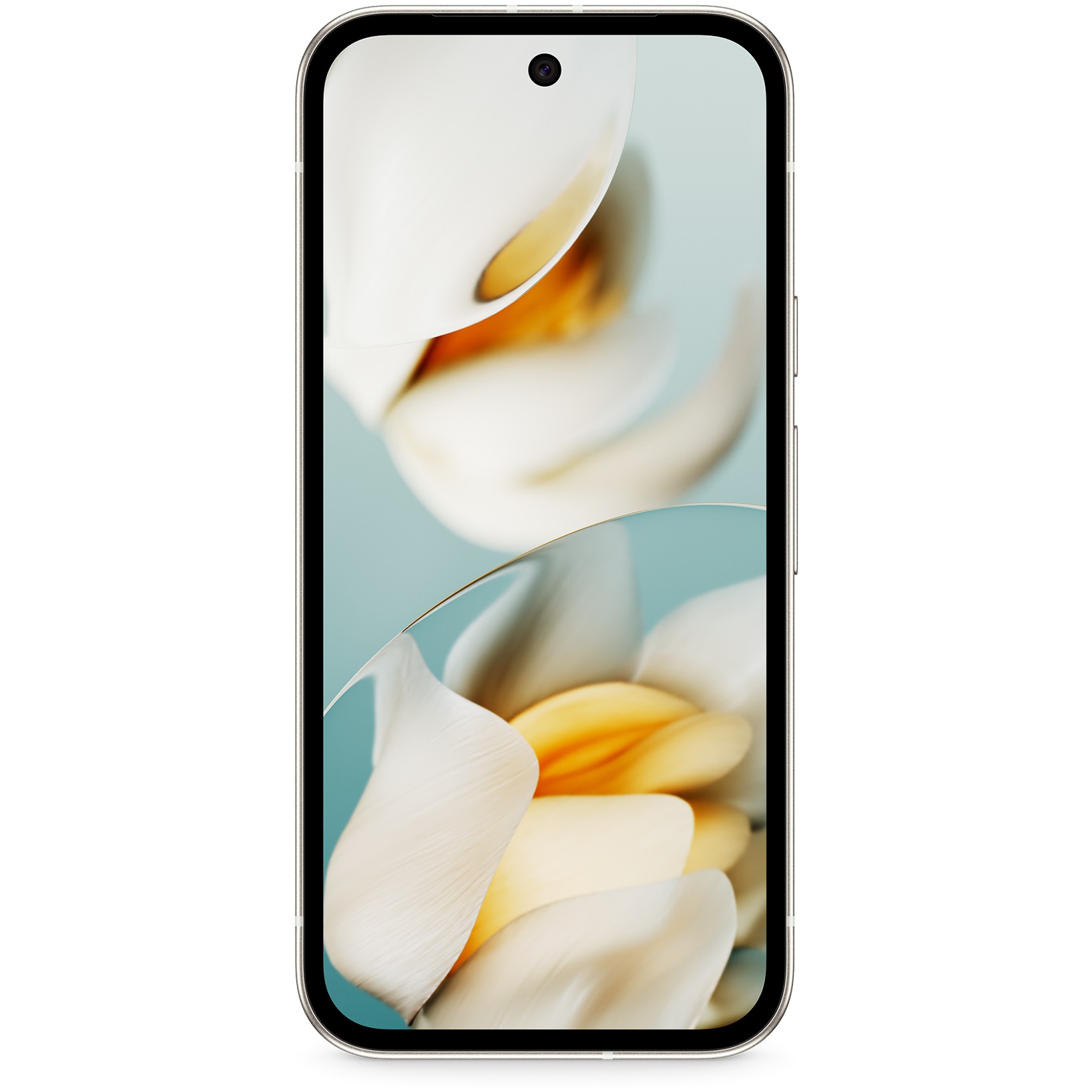 Google Pixel 9a - GA09563-GB