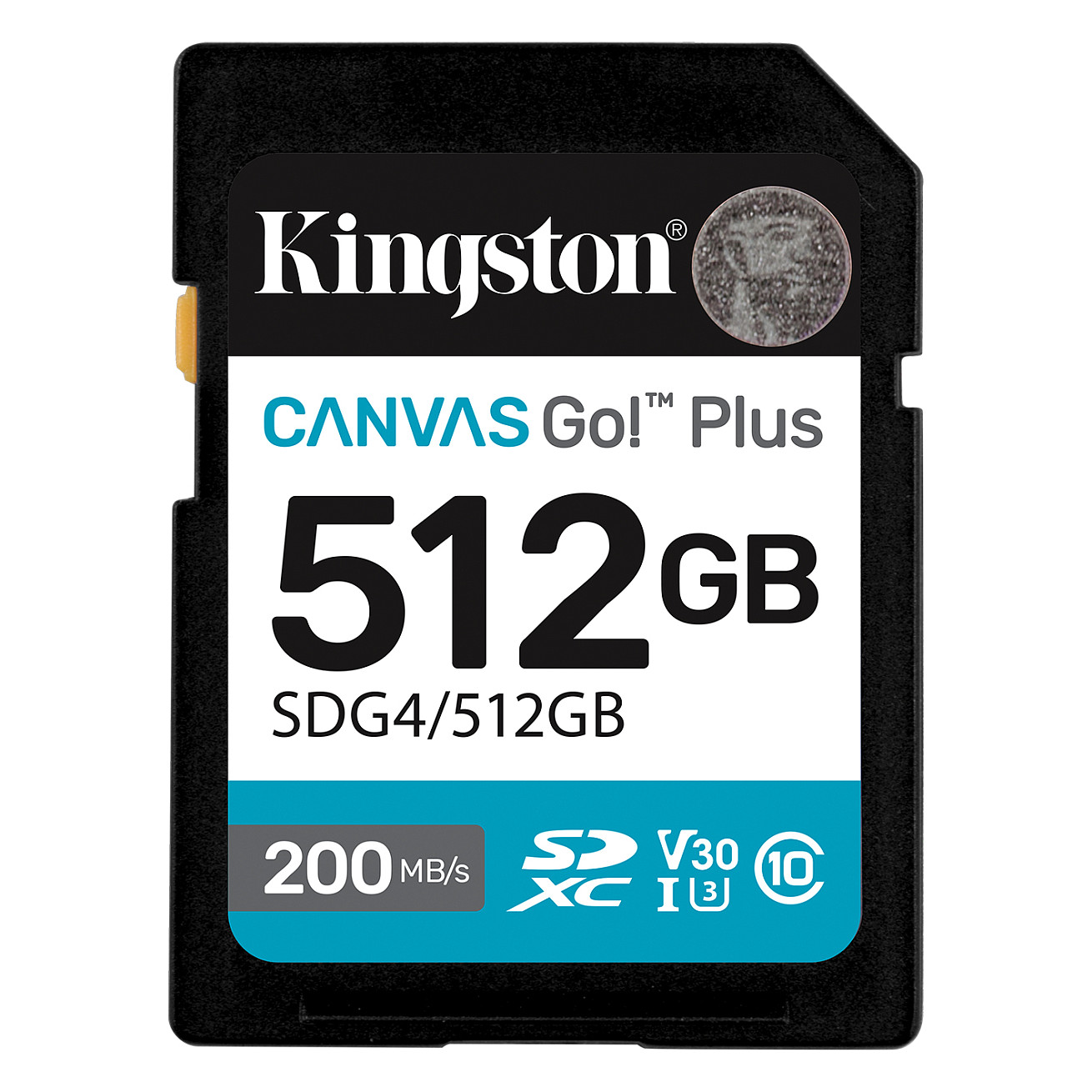 Kingston Technology Canvas Go! Plus
