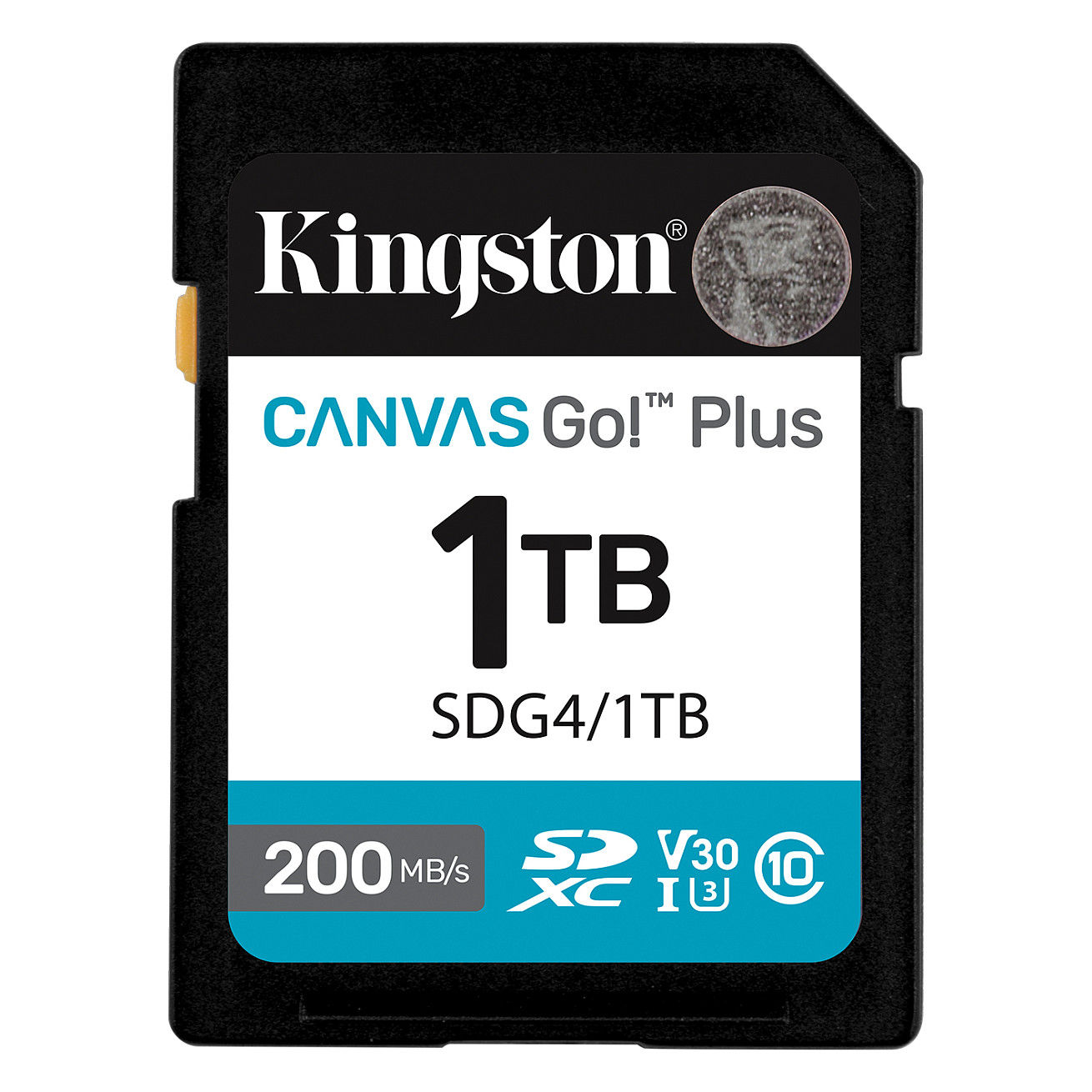 Kingston Technology Canvas Go! Plus